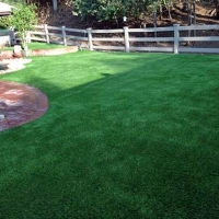 Artificial Grass Castle Pines North, Colorado Dog Hospital, Backyard Makeover