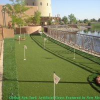 Artificial Grass Mountain View, Colorado Backyard Playground, Backyard Landscape Ideas
