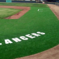 Artificial Turf Cost Carbondale, Colorado Stadium