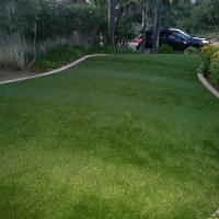 Best Artificial Grass Holly, Colorado Landscaping, Front Yard Landscaping