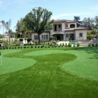 Fake Lawn Cottonwood, Colorado Lawn And Landscape, Front Yard Ideas