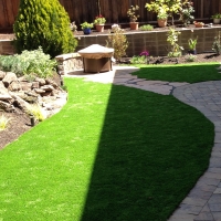 Outdoor Carpet Antonito, Colorado Lawns