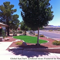Outdoor Carpet North Washington, Colorado Landscaping Business, Landscaping Ideas For Front Yard