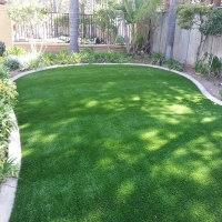 Plastic Grass Collbran, Colorado Landscape Design