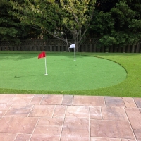 Synthetic Grass Cost Buena Vista, Colorado Putting Green Grass, Backyard Ideas