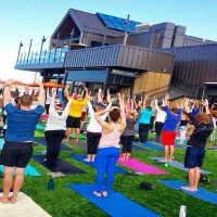 Synthetic Grass Cost Wiggins, Colorado Lawn And Landscape, Commercial Landscape