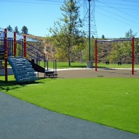 Synthetic Grass Morrison, Colorado Lawns, Parks