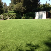 Turf Grass Avondale, Colorado Sports Turf, Backyard Ideas