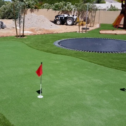 Artificial Grass Carpet Dinosaur, Colorado Office Putting Green, Backyard Designs