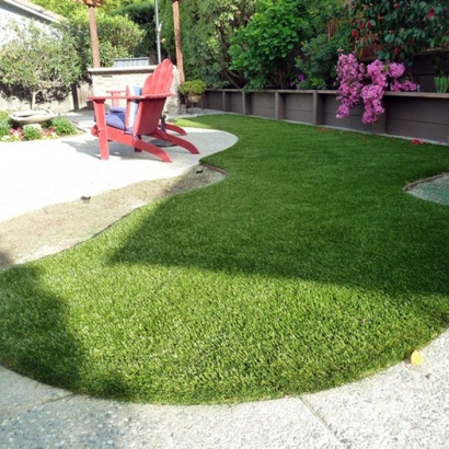 Artificial Grass Carpet Eckley, Colorado Landscape Photos, Backyard Garden Ideas