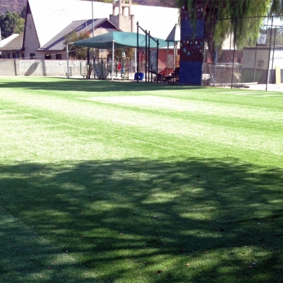 Artificial Grass Carpet Orchard City, Colorado Soccer Fields, Parks