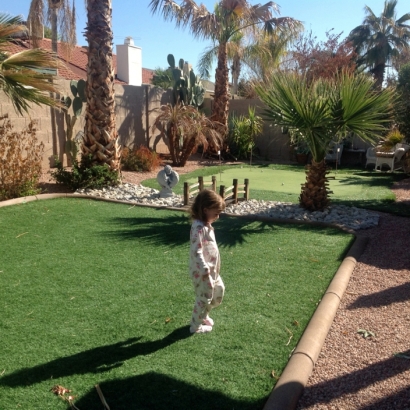 Artificial Grass Carpet Paragon Estates, Colorado Home And Garden, Backyard Landscape Ideas