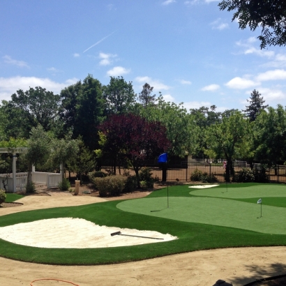 Artificial Lawn Mountain Meadows, Colorado Outdoor Putting Green, Small Front Yard Landscaping