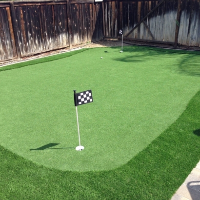 Artificial Turf Cost Fort Lupton, Colorado Home Putting Green, Backyards