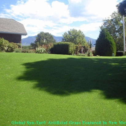 Artificial Turf Wheat Ridge, Colorado Lawn And Landscape, Backyard Garden Ideas