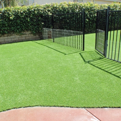 Best Artificial Grass Security-Widefield, Colorado Landscaping Business, Landscaping Ideas For Front Yard