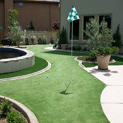 Best Artificial Grass Sunshine, Colorado Landscape Ideas, Backyard Garden Ideas