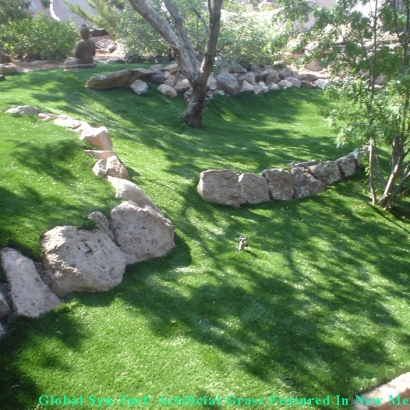 Fake Grass Carpet Commerce City, Colorado Landscape Design, Commercial Landscape
