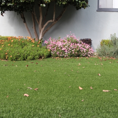 Faux Grass Yuma, Colorado Lawns, Front Yard Landscape Ideas
