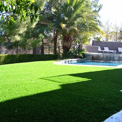 Grass Carpet New Castle, Colorado Landscaping, Backyard Garden Ideas