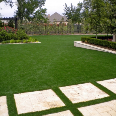 Grass Carpet Superior, Colorado Paver Patio, Small Backyard Ideas