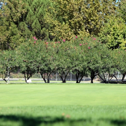 Green Lawn Cascade-Chipita Park, Colorado Artificial Putting Greens