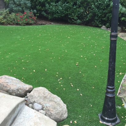 Lawn Services Peetz, Colorado Design Ideas, Backyard Landscaping