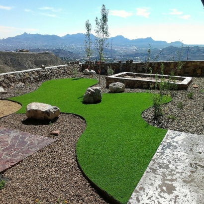 Outdoor Carpet East Pleasant View, Colorado Dog Pound, Backyard Designs
