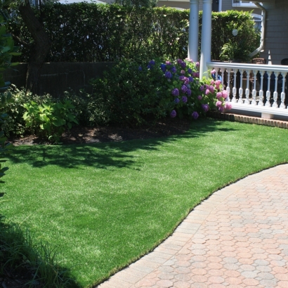 Outdoor Carpet Fowler, Colorado Pictures Of Dogs, Landscaping Ideas For Front Yard