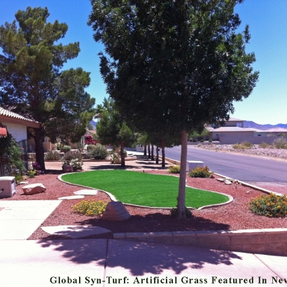 Outdoor Carpet North Washington, Colorado Landscaping Business, Landscaping Ideas For Front Yard