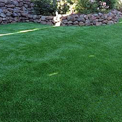 Plastic Grass Heritage Hills, Colorado Dog Running, Backyard Garden Ideas