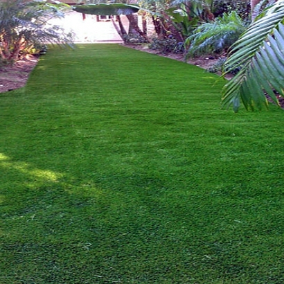 Plastic Grass Mead, Colorado Lawn And Garden, Backyard Garden Ideas