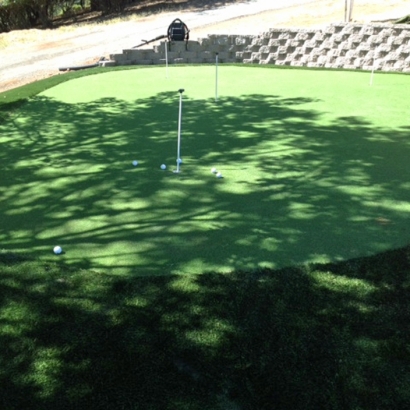 Plastic Grass Stonegate, Colorado Outdoor Putting Green, Backyard Landscaping