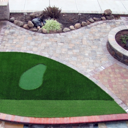 Synthetic Grass Cost Dinosaur, Colorado Golf Green, Front Yard Landscaping