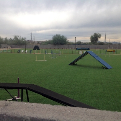 Synthetic Grass Lochbuie, Colorado Softball, Recreational Areas