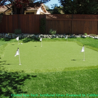 Synthetic Grass Twin Lakes, Colorado Backyard Playground, Backyard Landscaping