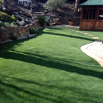 Synthetic Lawn Hillrose, Colorado Backyard Deck Ideas, Backyard Design