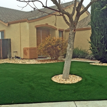 Synthetic Turf Fleming, Colorado Rooftop, Front Yard Landscape Ideas