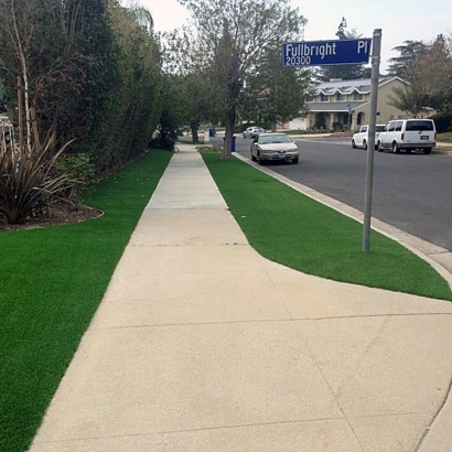 Synthetic Turf Supplier Columbine, Colorado Landscaping Business, Front Yard
