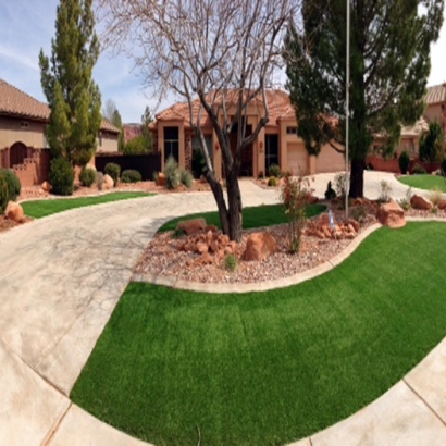 Turf Grass Meridian, Colorado Roof Top, Front Yard Landscape Ideas