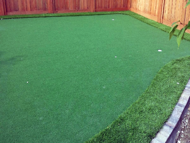 Artificial Grass Carpet Carriage Club, Colorado Garden Ideas, Backyard Landscaping