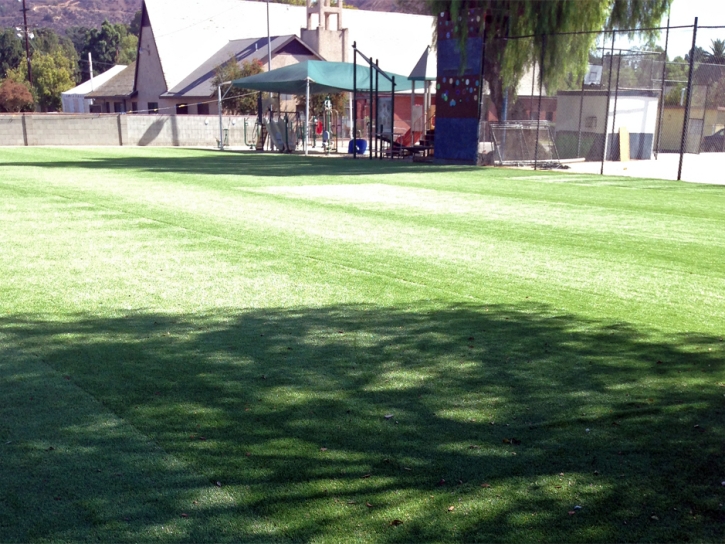Artificial Grass Carpet Orchard City, Colorado Soccer Fields, Parks
