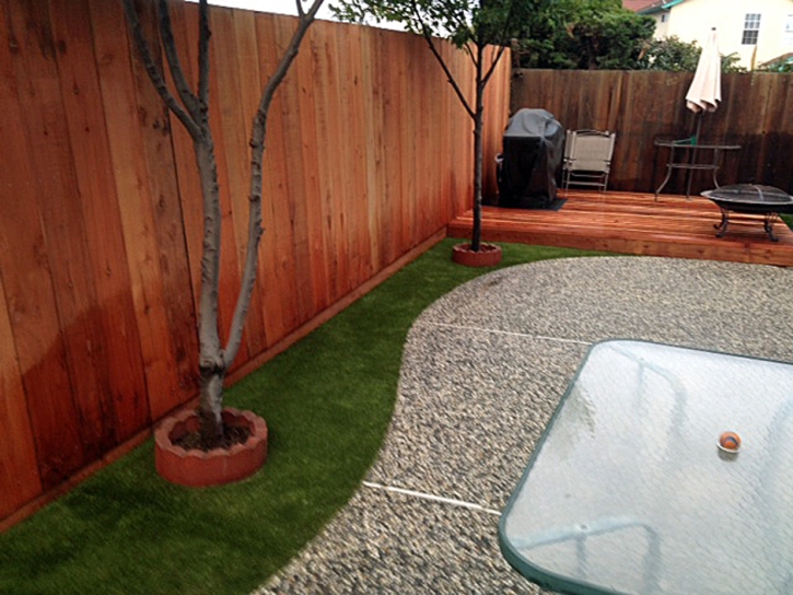 Artificial Grass Johnson Village, Colorado Lawns, Backyard Ideas