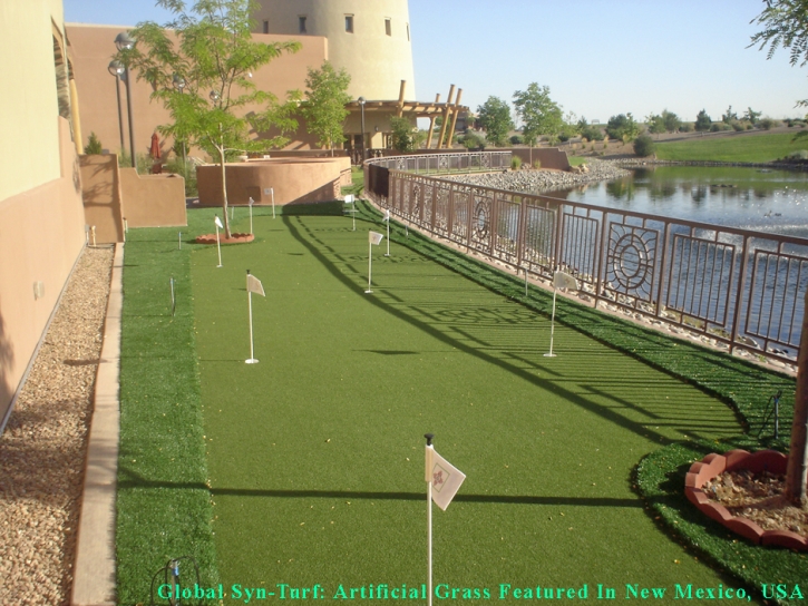 Artificial Grass Mountain View, Colorado Backyard Playground, Backyard Landscape Ideas