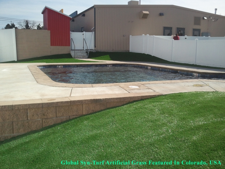 Artificial Turf Aurora, Colorado Landscape Design, Above Ground Swimming Pool
