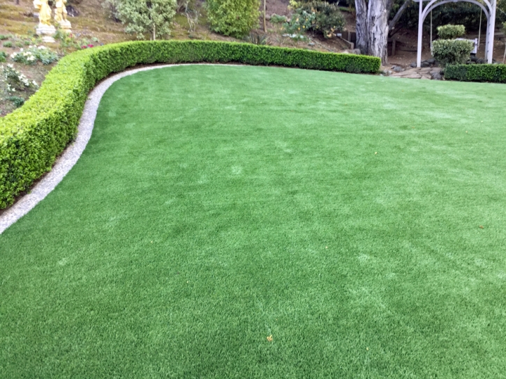 Artificial Turf Chacra, Colorado Gardeners, Backyard Landscape Ideas