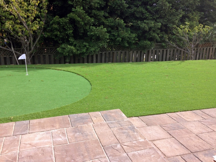 Artificial Turf Cost Bayfield, Colorado Golf Green, Backyard Landscape Ideas