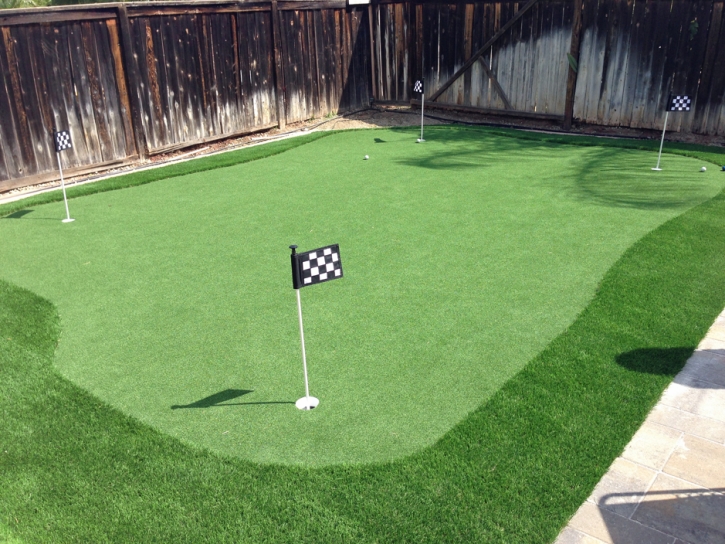 Artificial Turf Cost Fort Lupton, Colorado Home Putting Green, Backyards