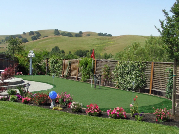 Artificial Turf Cost Idaho Springs, Colorado Backyard Deck Ideas, Backyard Design