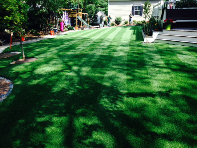 Artificial Turf Cost Rangely, Colorado Roof Top, Backyard